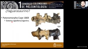 Nuevo registro de mosasaurio yaguarasaurino encontrado en rocas del Cretácico Superior de Ortega