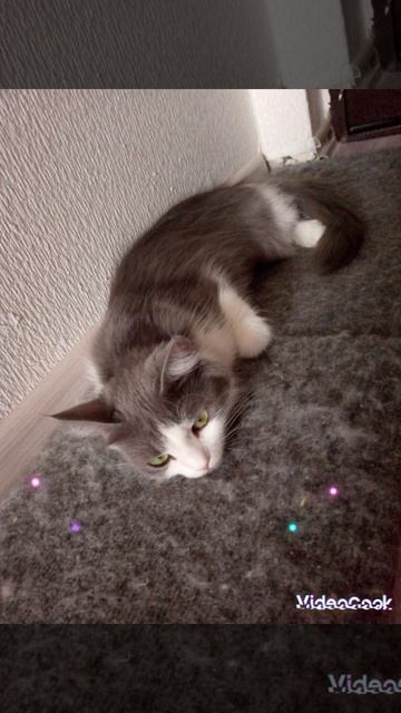 1000024585.mp4 смотреть онлайн