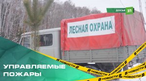 В Рослесхозе рассчитывают не гореть в новом сезоне