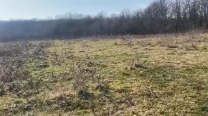 Земельный участок в районе с. Фанагорийское