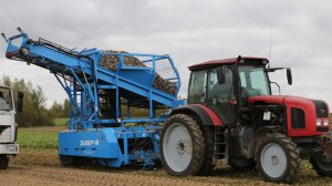 Комбайн свеклоуборочный ЗУБР (аналог AMITY)