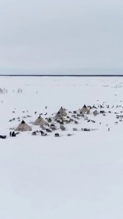 📍Счастливая жизнь коренных народов Крайнего Севера