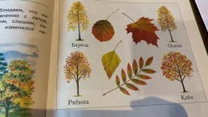 Окружающий мир/1 класс/Виноградова/часть 1/Сентябрь - первый месяц осени/04.06.21