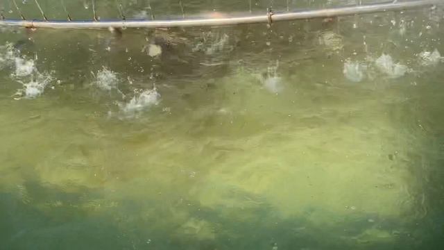 Кривой Рог Фонтан Соцгород смотреть онлайн