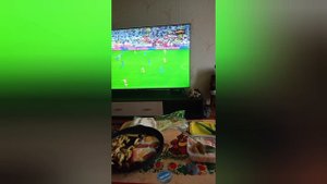 Как собрать мопед Альфа в квартире в 2024