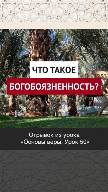Что такое богобоязненность? || Рустам абу Марьям #ислам #коран #вера #факты #намаз #семья #истина