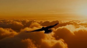 Незнакомец
Стихи Светланы Михайловой