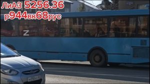 Коммерческие автобусы города Тамбова.