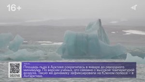 ДАЙДЖЕСТ «СЕВЕРНОГО ГОРОДА», 13.02.2025