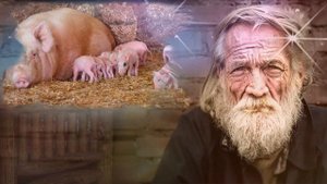 Отпели в деревне гармони