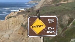 Bird on Danger Sign Bodega Head Sonoma Coast