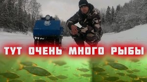 Рыбалка на мормышку. Нашли тонны рыбы. Ловля плотвы.