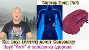 Мастер Song Park Звук Arrr и Селезенка