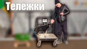 Тележки