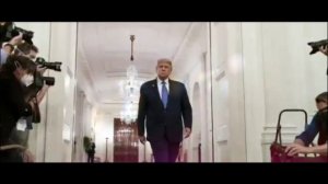 Трамп переговорил с Путиным и сообщил о немедленном начале переговоров