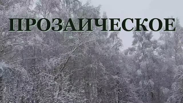 Прозаическое. Стихи и видеомонтаж мои. Музыка Андрея Валерьевича Зеленского
