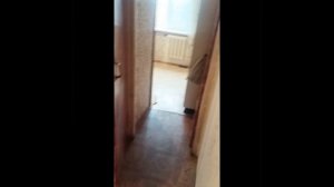 InShot_20250213_175247868.mp4