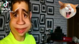 Глент ( вот надо было это сделать)