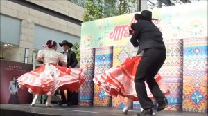 Ballet Folklórico Mazatliltic - La chula #upskirt#костюмированный#латино#танец