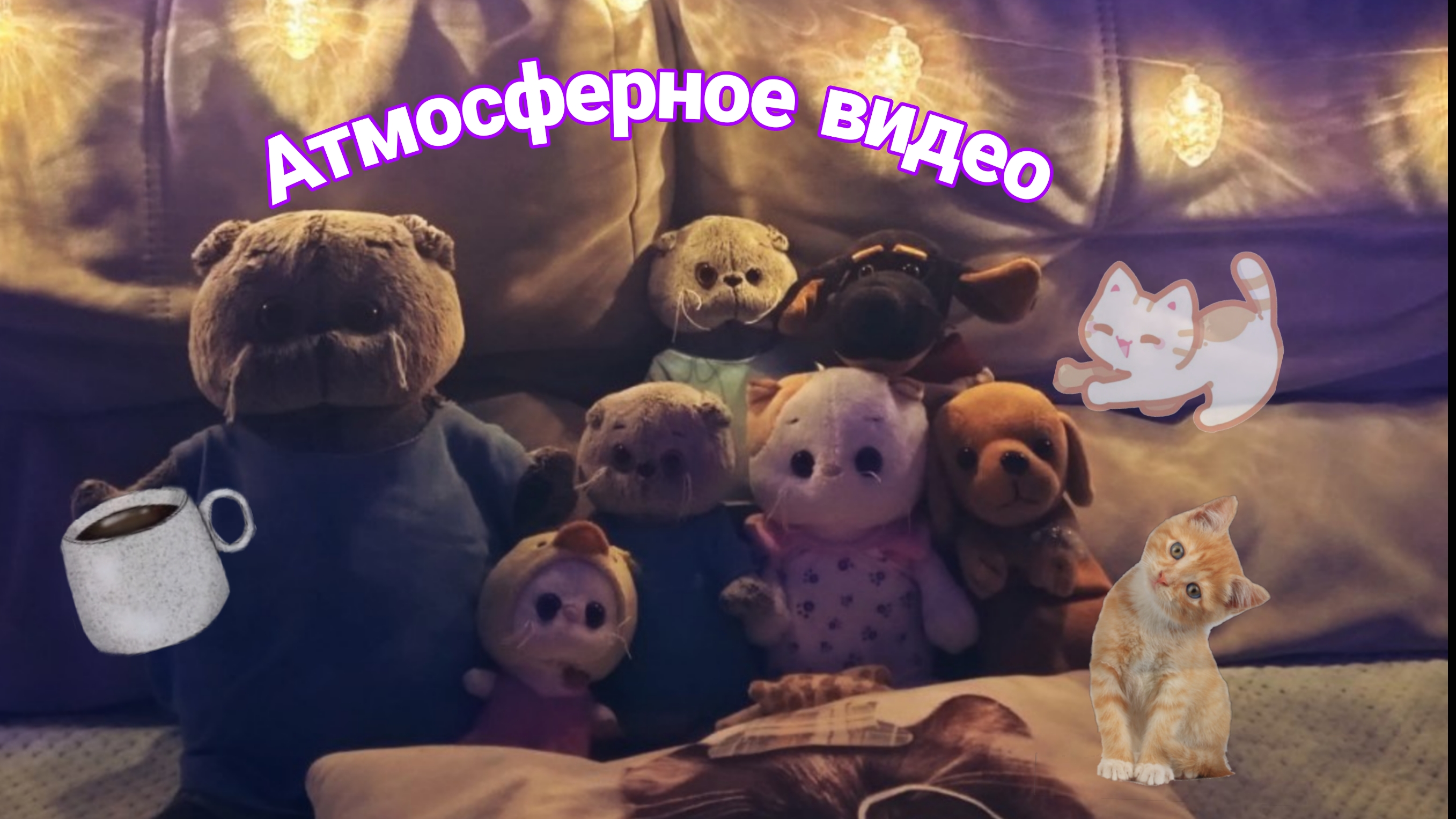 Атмосферное видео 🫶🏻