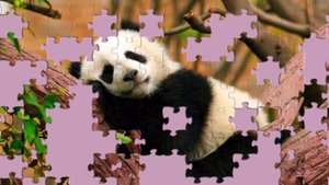 Панда Милые животные Пазлы Расслабляющие видео Антистресс