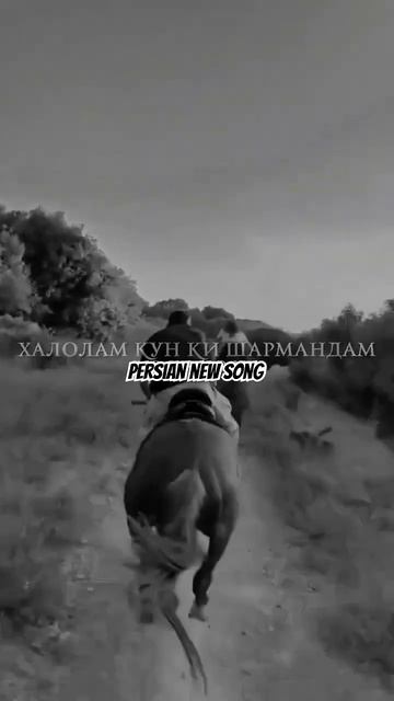 #2024 #badakhshon #iran #persian #pomir #samarqand #tadjik #tadjikistan #tojikiston #uzb смотреть онлайн