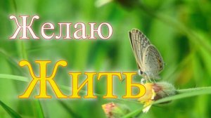 мультИфильм "Желаю Жить"