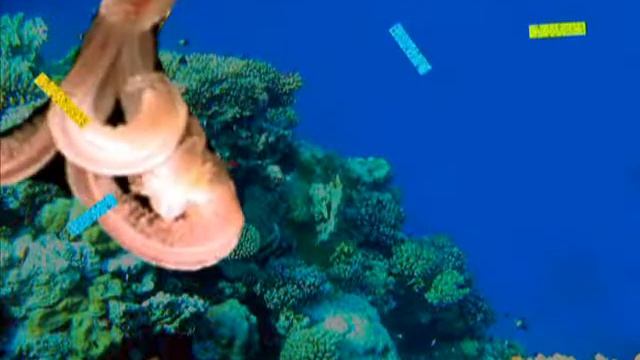 The Adventures of Sea Worm: Brain Sponge! смотреть онлайн