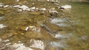 Мысхако, Геленджик