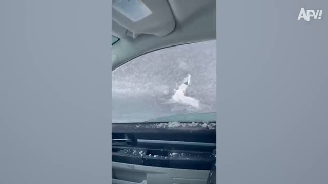 Best TikToks of the Month May 2024 смотреть онлайн