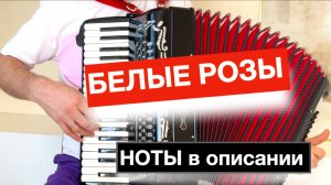 Белые розы - Шатунов - Ласковый май -  Как играть ноты для аккордеона баяна гармони