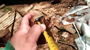 Фермы из бревна на парник