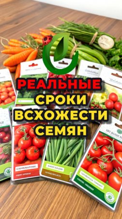Реальные сроки всхожести семян