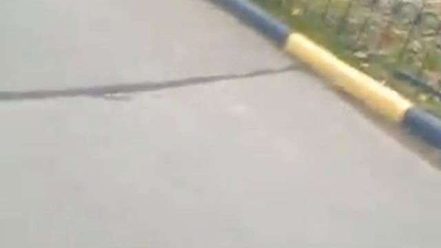 Григоренко быкует смотреть онлайн