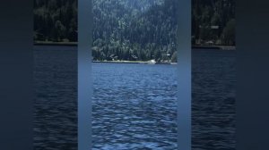 Поездка на Алтай