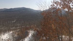 Suzuki jimny. Приморский край. Город Артём. (дубки - вторуха)