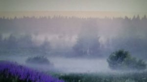 Утро туманное