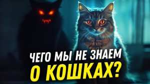 Хорошо ли мы знаем кошек? Мифы о хищниках, захвативших мир | Ученые против мифов 23-7