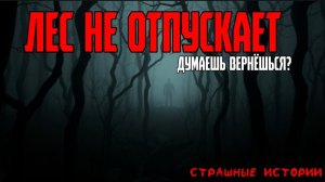 Страшные истории | ужасы - Лес, который не отпускает