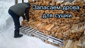 Сушим дрова