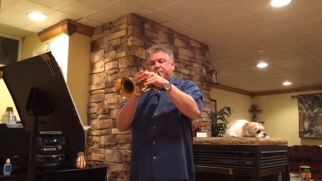 Contigo en la Distancia - Chris Botti Version смотреть онлайн