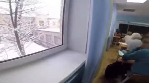 коричневая обезьянка вылазиет