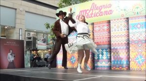 Ballet Folklórico Mazatliltic - El circo #upskirt#костюмированный#латино#танец