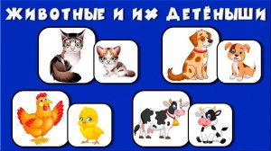 Животные и их детёныши. Тесты для детей 3+. Развивающие мультики