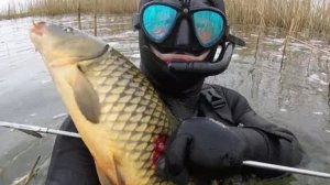 ПОДВОДНАЯ ОХОТА. В МОРОЗ -23