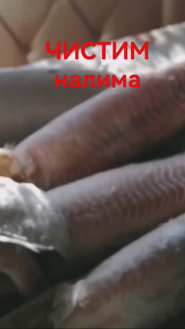 РЫБАЛКА НА РЕЧКЕ ЧИСТИМ НАЛИМА #shorts смотреть онлайн