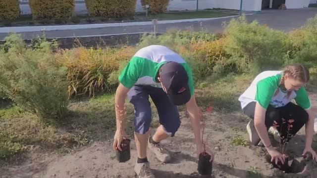 Эколого - просветительский проект "Экошкола 2.0". Отчетное видео о проекте. смотреть онлайн