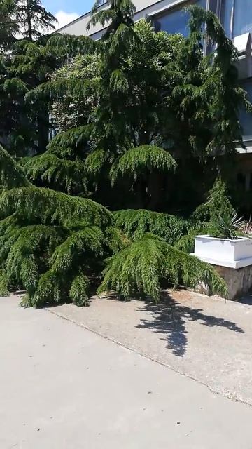 судак-2019-май смотреть онлайн