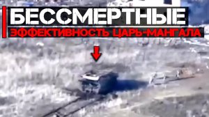 Бессмертные | Эффективность царь мангала