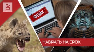 В Госдуме предложили усилить наказание за дискредитацию армии и призывы к санкциям